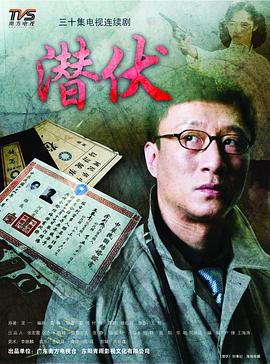 潜伏2008(全集)