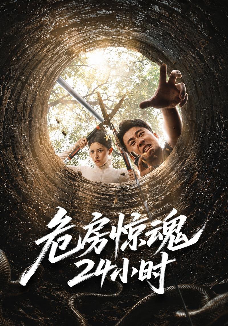 危房惊魂24小时(全集)